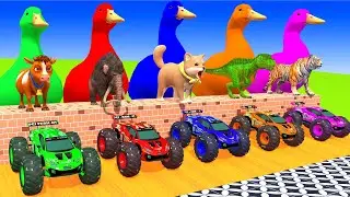 5 Giant Duck Cartoon,Tiger,Cow,Zebra,Kangaroo,Dog,Cat Wild Animals Crossing Fountain 2023