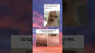 #мемы #приколы