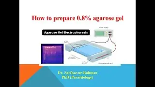 How to prepare 0.8% agarose gel I Agarose I Gel  I 0.8%