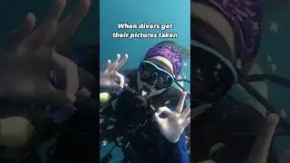 When divers get their pictures taken