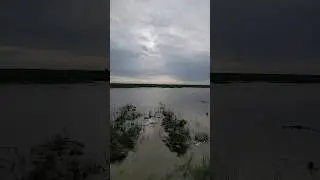 siliguri treesta river #treesta #siliguri
