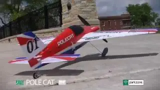 Ultra Micro Pole Cat BNF by ParkZone