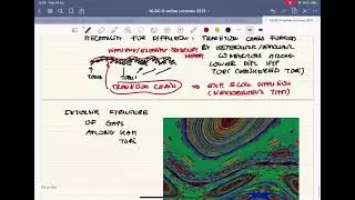 NLDC-II Lecture 14