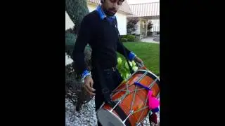 dholi taking off