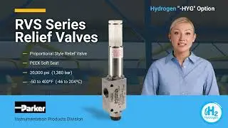 RVS Series Relief Valves for Hydrogen