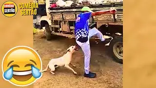Desafio Tente Não Rir - Vídeos Engraçados 2024