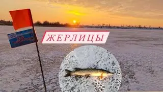 ЩУКА на ЖЕРЛИЦЫ.Рыбалка на жерлицы.зимняя рыбалка 2022.