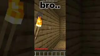 bro.. #minecraft