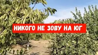 #848Никого не зову на юг/плюсы и минусы кубанского огородничества