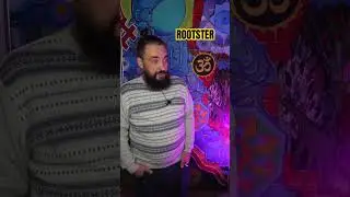 About ROOTSTER LED lamps!