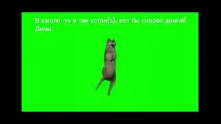 ИХВИЛЬНИХТ🐺