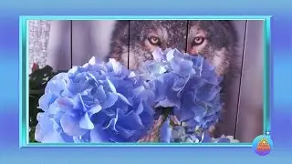 ЙөрәкТау! 44фф
