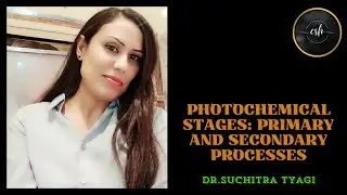 PHOTOCHEMICAL STAGES: PRIMARY AND SECONDARY PROCESSES