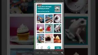 Please click on all images containing an animal #hcaptcha #rjahidali1 #shorts #viral #viralvideo