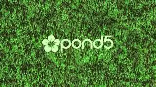 Grass Field Loop - After Effects - Cinema 4D - Stock Footage
