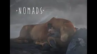 Nomads