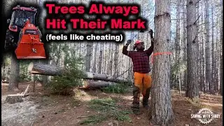 Small Scale Logging with a Tractor Winch (Episode 11)