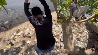Tree Pai Chadne Ka Dar 😂