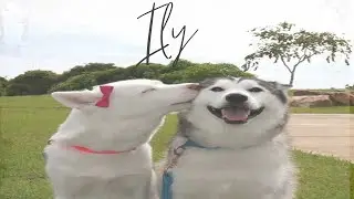KING KOJI - ILY (Drill Remix)//Prod. Cody2Scoops