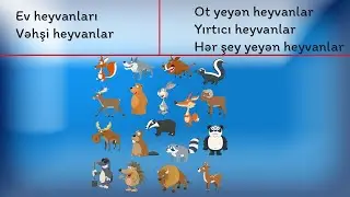 Heyvanlar aləmi 1-ci hissə (ev və vəhşi heyanlar;  ot yeyən,ət yeyən və hər şey yeyən heyvanlar)