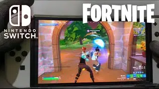 Fortnite on Nintendo Switch Lite #19