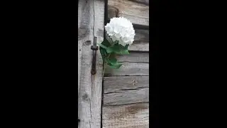 ГОРТЕНЗІЯ з зефірного фоамирана\HYDRANGEA from marshmallow foamiran