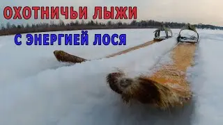 Охотничьи лыжи с лосиным камусом. Лыжи с силой тайги.