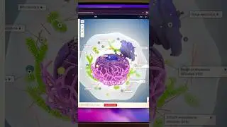 Learn medical knowledge using  interactive 3D models 