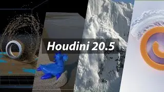 Houdini 20.5 Overview