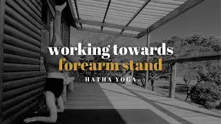Working Towards Forearm Stand