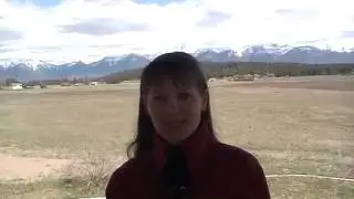 Отзыв Оксаны Бондаревой о тренинге Евгения Вергуса 'Мастер Партнерских Продаж'