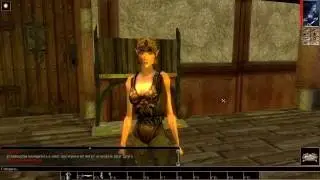 Neverwinter Nights за вора Часть 4
