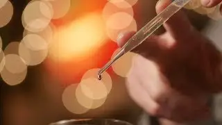 The Black Walnut by Benjamin Hash | A Cocktail Recipe