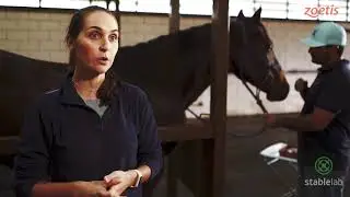 Stablelab Zoetis - Resposta em 10 minutos