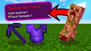Minecraft But Mobs Drop Op Items!