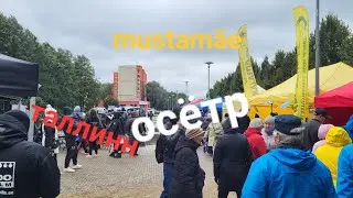Таллинн соревнования ОСЕТРА
