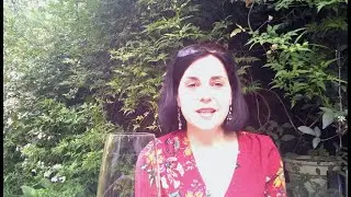 How the wine world views German Spätburgunder