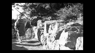 THE GREAT SAGE SRI NARADA - Lakshmi Narayana das (Leonid Tugutov)