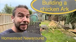 Homestead newsround VLOG, building chicken arks, garden organising, planting and more