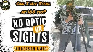 No OPTIC or SIGHTS!  Can I Hit Steel at 100 yards?