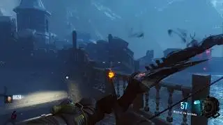 COD BO3 DE EE no gg speedrun.