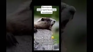 Моим нетерпеливым клиентам посвящается🤗 #тендер #тендерноесопровождение