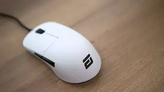 The Best GAMING MOUSE shape - Endgame Gear XM1