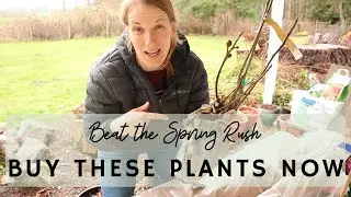Buy These Plants Now Before the Spring Rush!