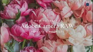 INSTALL | How to install REFINED Co presets & profiles in ACR Adobe Camera RAW + Troubleshooting