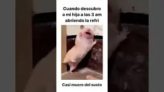 cuando descubro a mi hija a más 3 am abriendo el refrigerador casi muere del susto #refrigerador
