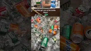 How much money can you get from 275 recycled bottles? 👀