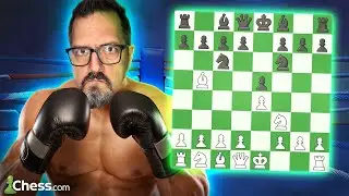 Así juego contra la ESPAÑOLA BERLINESA 🥊