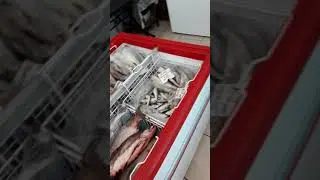 Вот она, рыба города Ялты!