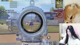 Pubgmobile china gameplay 🥰 RouRou